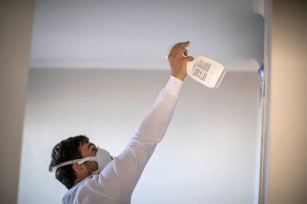 Best Basement Mold Remediation in Palmetto, GA