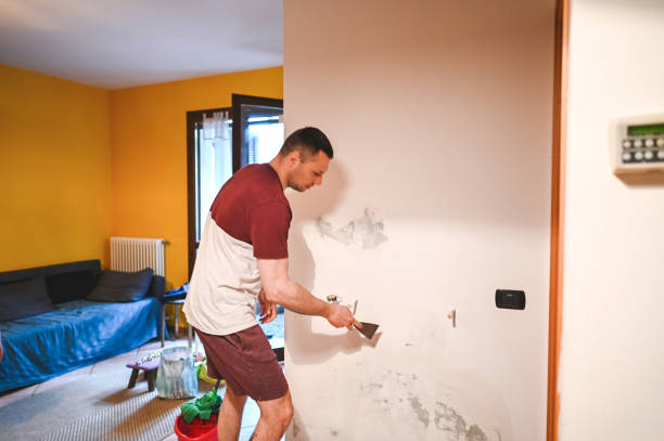 Best Health and Safety Mold Remediation in Palmetto, GA